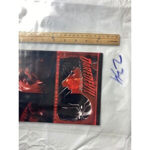 Daredevil The Man Without Fear Blood of the Tarantula Marvel Comic Book‎